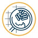 Nettoyants Hygiéniques Et Désinfectants